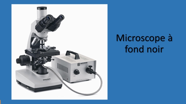 Microscope à fond noir